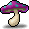 Poisonous Mushroom