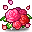 Petit Rose