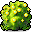 Yellow Anthurium