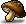 Dry Mushroom