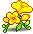 Freesia Blossom