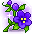 Violet Blossom
