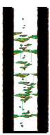 Victoria Road: Dungeon, Southern Forest II