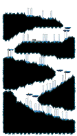 Dungeon: Another Path