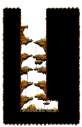 Premium Road: Evil Eye's Cave