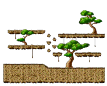 Mu Lung: Sky Forest : The Train
