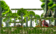 Golden Temple: Forest of Training 4
