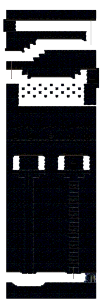 Hidden Street: The Unknown Underground Passage