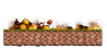 Black Road: Burning Forest 3