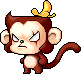 Wild Monkey