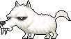 Zoo White Fang