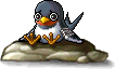 Swallow