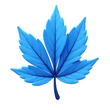 Mapleonim